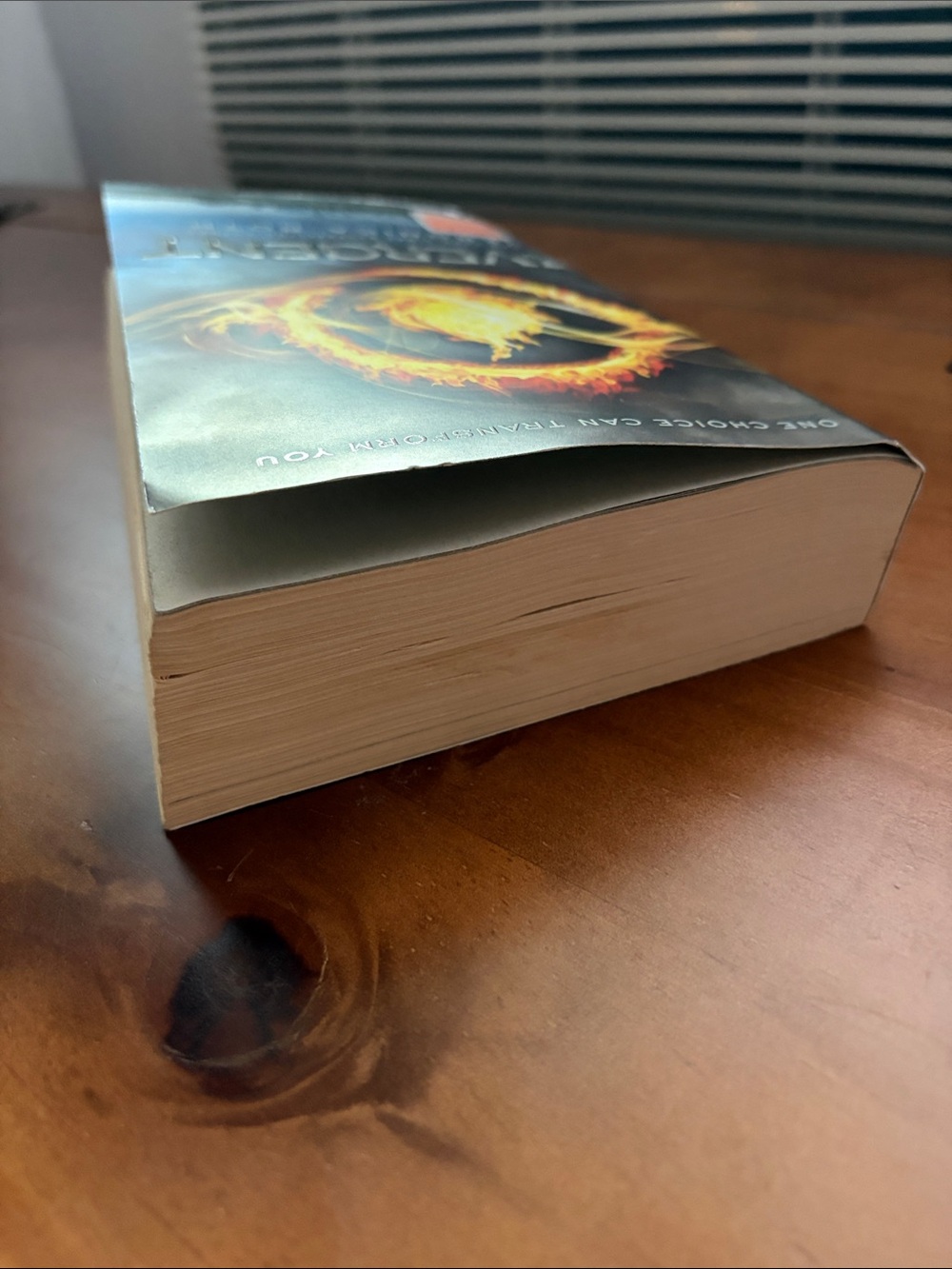 💎 Divergent by Veronica Roth - Picture 4 of 6